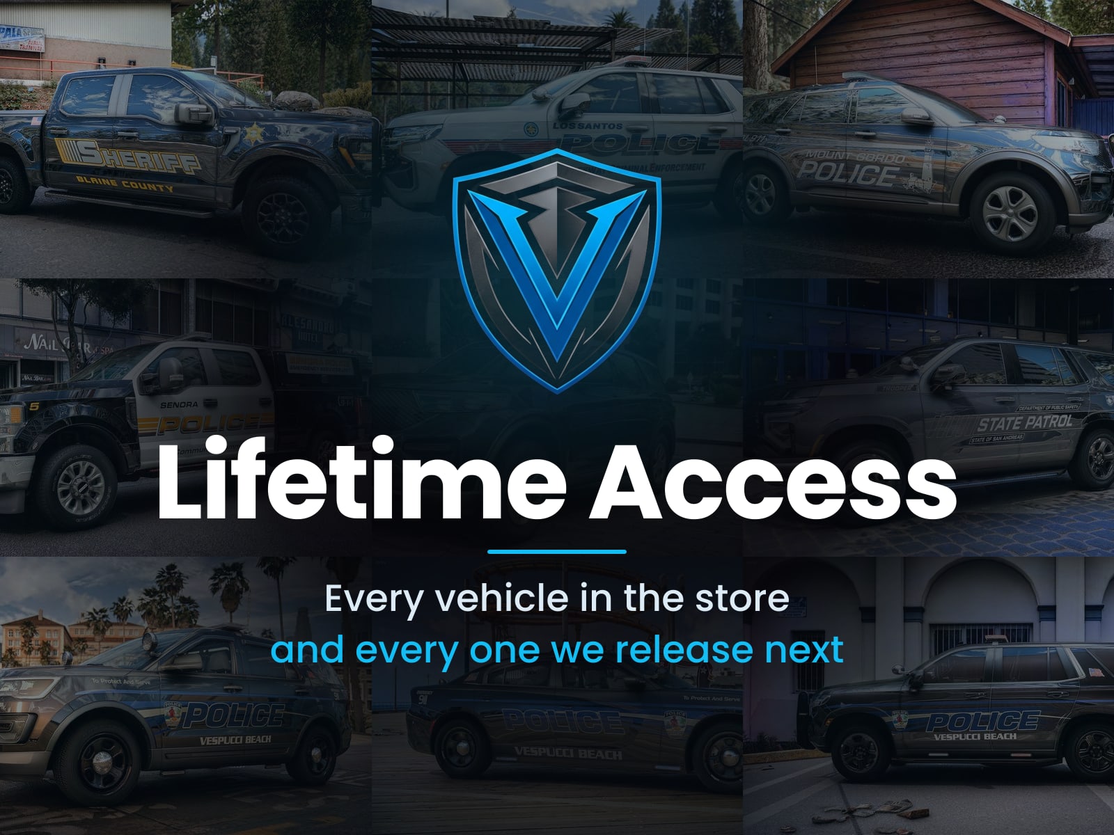 Lifetime Access